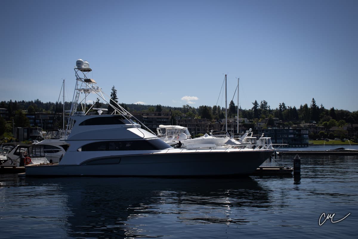Lake Washington