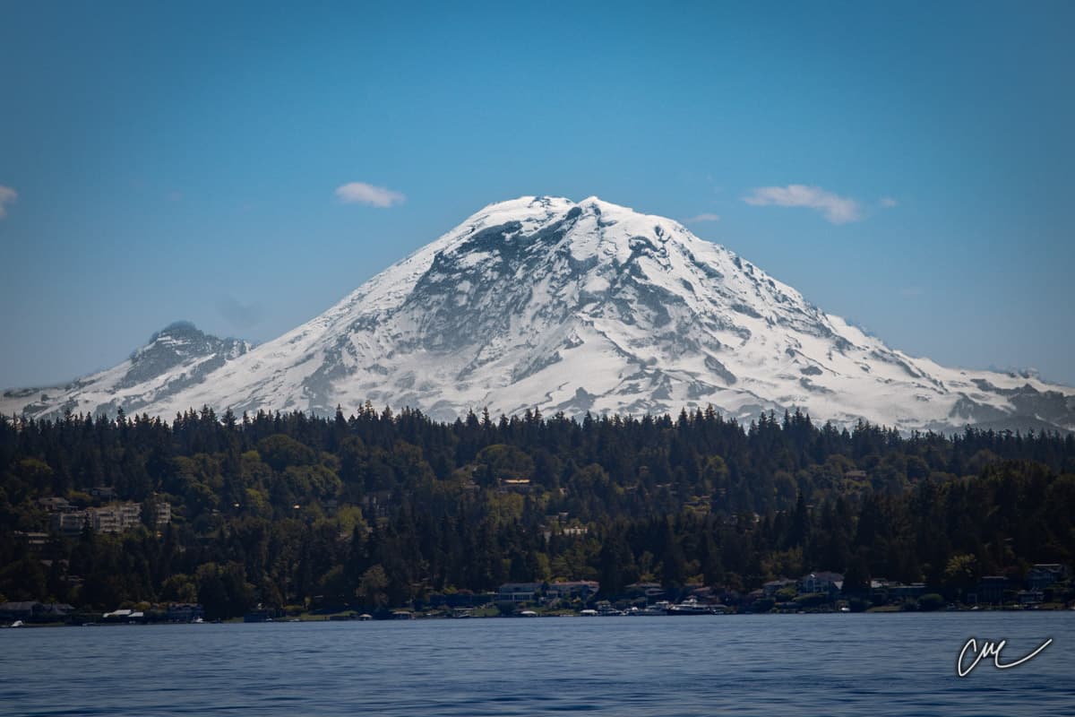 Rainier Vista